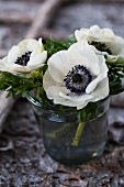 Posy of anemones in glass vase