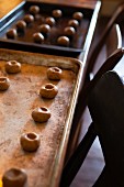 Unbaked ginger snaps on a baking tray