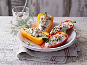 Stuff mini peppers with cottage cheese, herbs and pine nuts