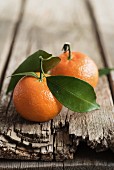 Two mandarins with leaves on a rustic wooden surface