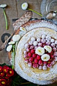 Millet cake with raspberries and bellis