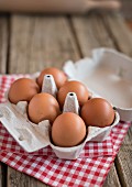 Sechs braune Hühnereier in geöffnetem Eierkarton