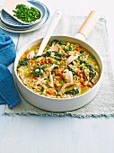 Chicken, barley and vegetable stew