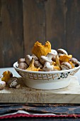 Fresh mushrooms and chanterelle mushrooms in a porcelain bowl
