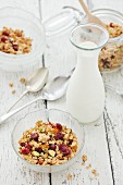 Muesli with marmalade, ginger, dried cranberries and milk