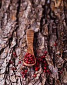 Red peppercorns on a wooden spoon on a piece of bark