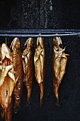 Smoked trouts in a smokehouse