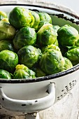 Blanched Brussels sprouts in a white metal colander