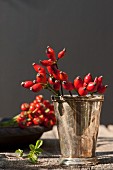 Rose hips in silver vase