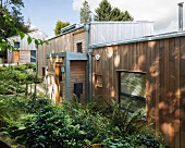Modernes Wohnhaus aus Holz, Vorgarten mit Farn bepflanzt
