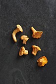 Six fresh chanterelle mushrooms on a grey surface (seen from above)