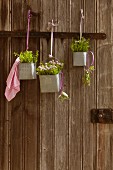 Various herbs in metal containers hung from rustic wooden doors from ribbons