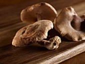 Fresh shiitake mushrooms on a wooden surface