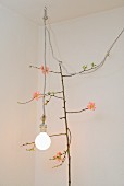 Branch of flowering quince with delicate pink flowers, lit light bulb and vintage-style power cable