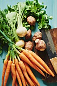 an arrangement of carrots, white turnips, Jerusalem artichokes and lamb's lettuce