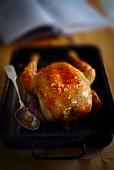 Roast chicken in a roasting tin with a spoon