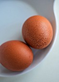 Two brown eggs in a bowl