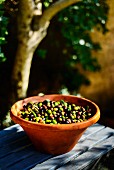 Freshly harvested olives in a terracotta bowl on a garden table