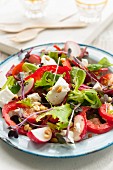 Greek salad with peppers, radishes and pine nuts