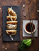 Gyoza filled with cabbage
