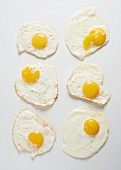 Six fried eggs