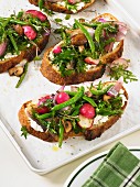 Slices of bread topped with cream cheese, beans, radishes and mushrooms
