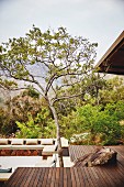 Wooden terrace and tree in front of sunken seating area with seat cushions on stone benches