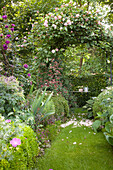 Lawn path leading through rose arch in idyllic garden