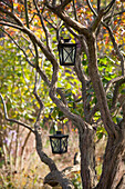 Metalllaternen hängen in einem Baum