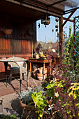 Hut with terrace in autumnal allotment garden