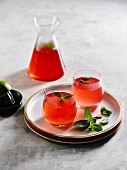 Cranberry cocktails with mint