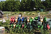 Rows of watering cans in a garden