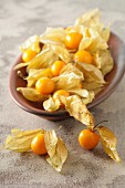Physalis in a ceramic bowl