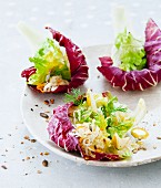 Vegetable salad with radicchio leaves