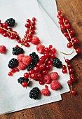 Red berries on a piece of white paper