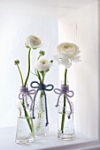 White ranunculus in three vintage-style glass bottles decorated with woollen bows