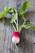 A white spot radish on a wooden surface