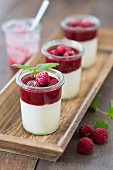 Yoghurt with raspberry purée