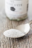 Truffle salt on a spoon