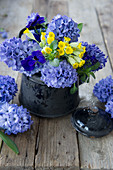 Hyacinths, cowslips and violas in enamel jug