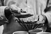 A coffee taster checking coffee beans (black-and-white shot)