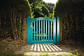 Blue-painted garden gate flanked by hedges