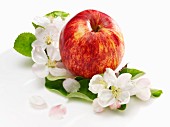 An apple, apple blossom and apple leaves