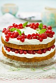 Victoria Sponge with summer berries and mint leaves