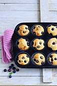 Blueberry muffins in muffin tin