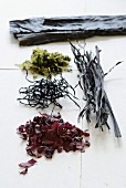 Various types of seaweed on a white surface
