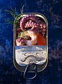 Seafood (squid, king prawns and surimi) in a tin with dill (seen from above)