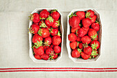 Zwei Pappschälchen mit frischen Erdbeeren (Aufsicht)