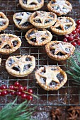 Homemade mince pies with star lids and icing sugar on a cooling rack