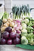 Fresh vegetables at a weekly market, Yverdon-les-Bains on Lake Neuchâtel, Switzerland